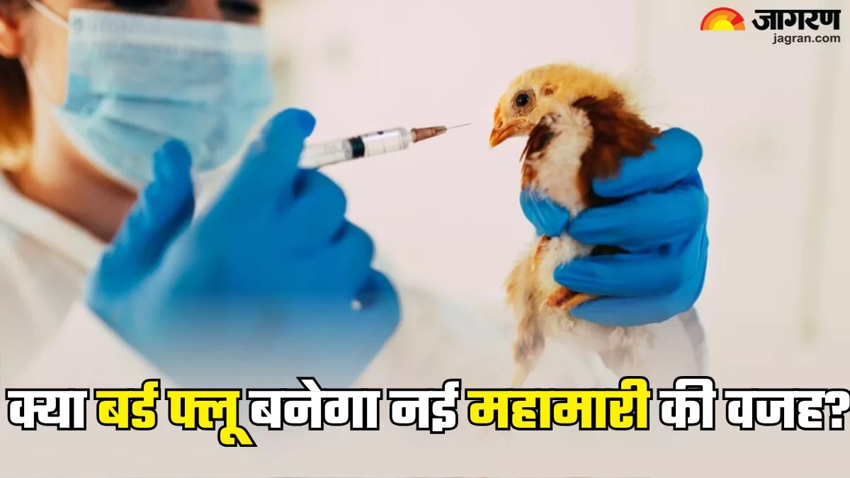 अमेरिका में इंसानों में बर्ड फ्लू के मामले तेजी से बढ़ रहे,क्या बनेगा नई महामारी की वजह?